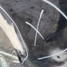 Дверь задняя правая Toyota Land Cruiser Prado 150 2009-2021