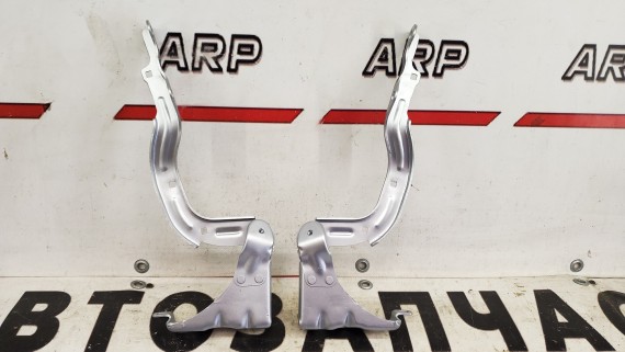 Петли капота Geely Coolray 2020-н.в.