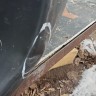 Бампер передний Nissan Qashqai 1 j10 2006-2010