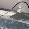 Бампер задний Citroen C4 2005-2011 5 дверей