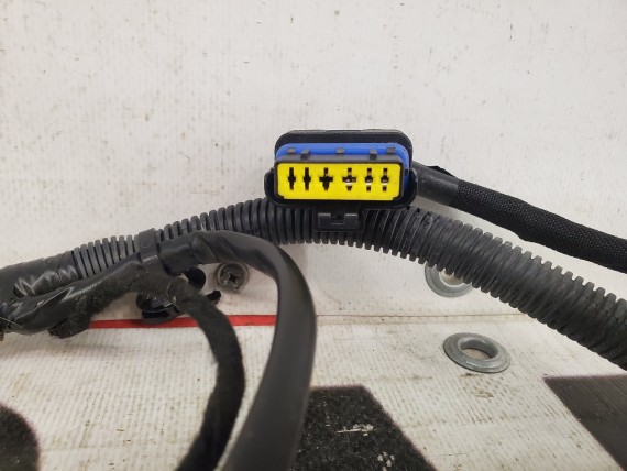 Проводка задней правой двери Nissan Qashqai j10 2006-2014