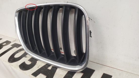 Решетка радиатора BMW X5 E53 2000-2007