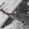 Бампер передний Nissan Qashqai j10 2010-2014