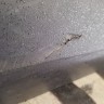 Накладка двери передняя левая Land Rover Freelander 2 L359 2006–2014