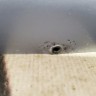 Крышка зеркала правая Toyota Corolla Verso 2004–2009