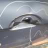 Дверь багажника Nissan Micra K12 2002-2010