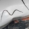Дверь багажника Volkswagen Tiguan 1 2011-2016