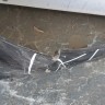 Крыло переднее правое Mercedes-Benz A-class W169 2004-2012